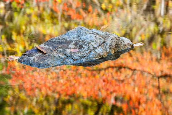Abstract;Abstraction;Autumn;Boulder;Boulders;Brown;Calm;Fall;Fallen Leaves;Gold;Healing;Health care;Healthcare;Leaf;Mirror;Nature;Pastoral;Ripple;River;Rock;Rocks;Stone;Stones;Tan;Warm Colors;Warm Palette;Warm Tones;Water;Waterscape;color;green;lake;leaves;oneness;peaceful;red;reflection;reflections;restful;serene;soothing;texture;tranquil;zen